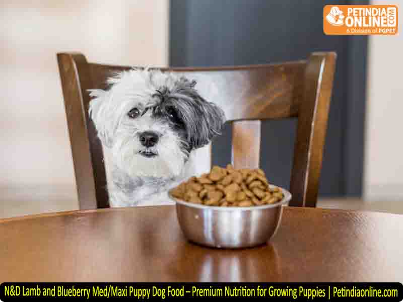 N&D Lamb and Blueberry Med/Maxi Puppy Dog Food – Premium Nutrition for Growing Puppies | Petindiaonline.com