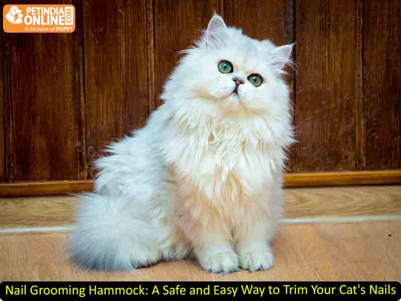  Nail Grooming Hammock: A Safe and Easy Way to Trim Your Cat's Nails