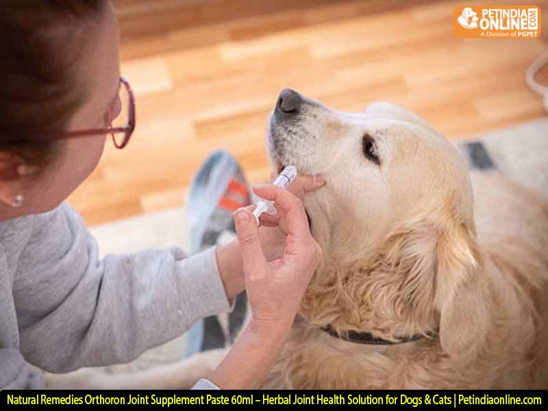Natural Remedies Orthoron Joint Supplement Paste 60ml – Herbal Joint Health Solution for Dogs & Cats | Petindiaonline.com
