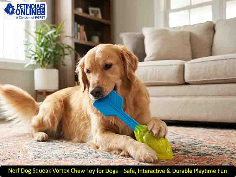 Nerf Dog Squeak Vortex Chew Toy for Dogs – Safe, Interactive & Durable Playtime Fun