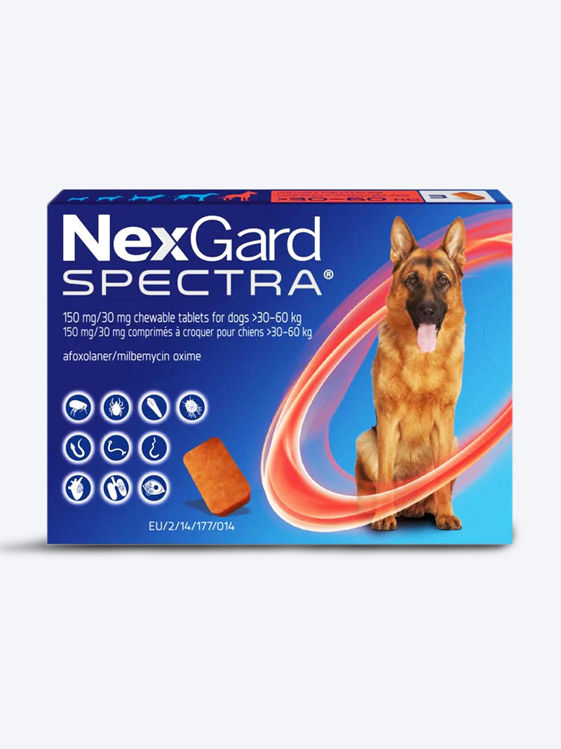 Nexgard Spectra Tick & Flea Tablet (30 to 60kg) for Dogs | PetIndiaOnline