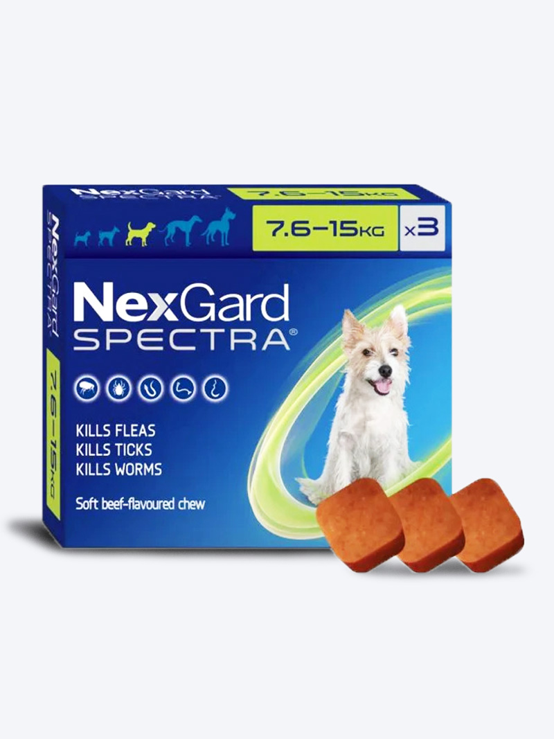 Nexgard Spectra Tick & Flea Tablet (7.6–15kg) for Dogs | PetIndiaOnline