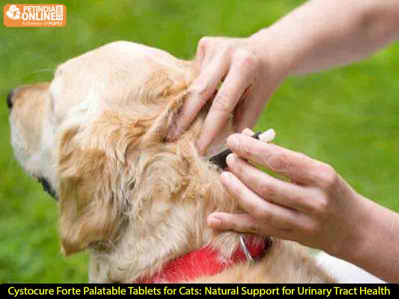 Nomoticks Body Spray 175ml: The Ultimate Natural Solution for Flea & Tick Control in Pets