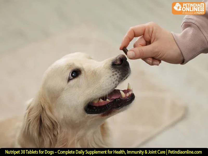 Nutripet 30 Tablets for Dogs – Complete Daily Supplement for Health, Immunity & Joint Care | Petindiaonline.com