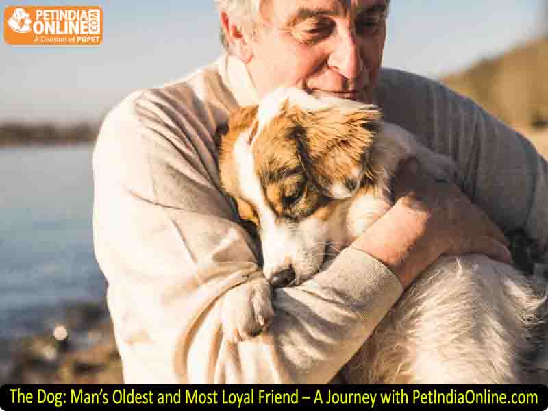 The Dog: Man’s Oldest and Most Loyal Friend – A Journey with PetIndiaOnline.com