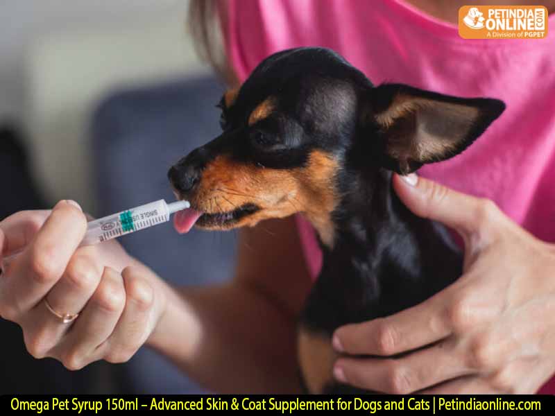 Omega Pet Syrup 150ml – Advanced Skin & Coat Supplement for Dogs and Cats | Petindiaonline.com