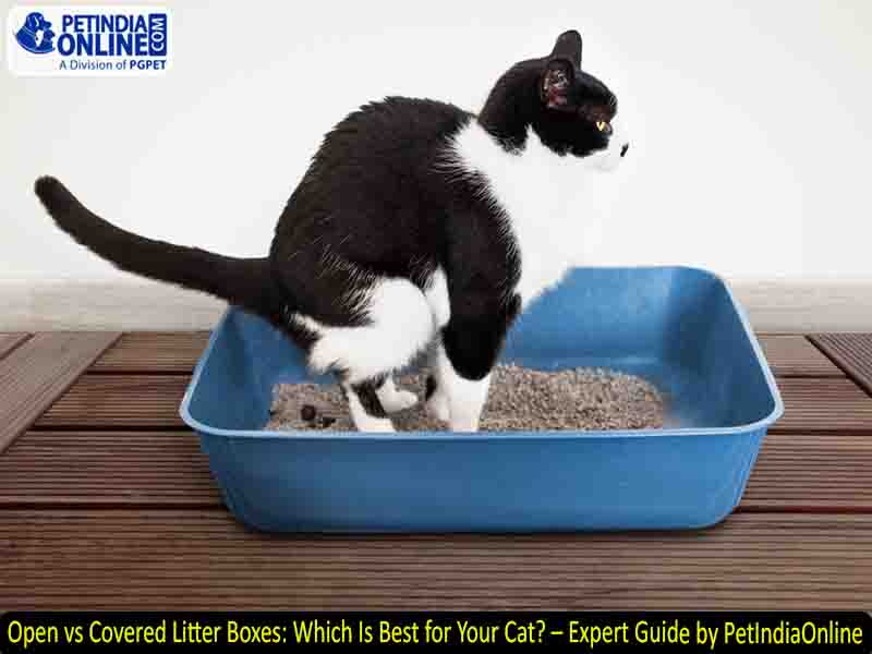 Open vs Covered Litter Boxes: Which Is Best for Your Cat? – Expert Guide by PetIndiaOnline
