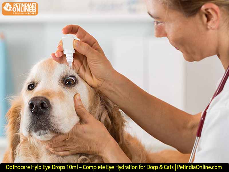 Opthocare Hylo Eye Drops 10ml – Complete Eye Hydration for Dogs & Cats | PetIndiaOnline.com