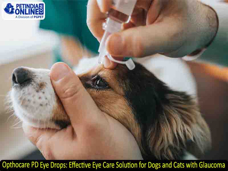 Opthocare PD Eye Drops: Effective Eye Care Solution for Dogs and Cats with Glaucoma