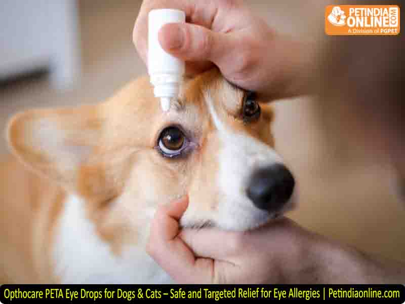 Opthocare PETA Eye Drops for Dogs & Cats – Safe and Targeted Relief for Eye Allergies | Petindiaonline.com