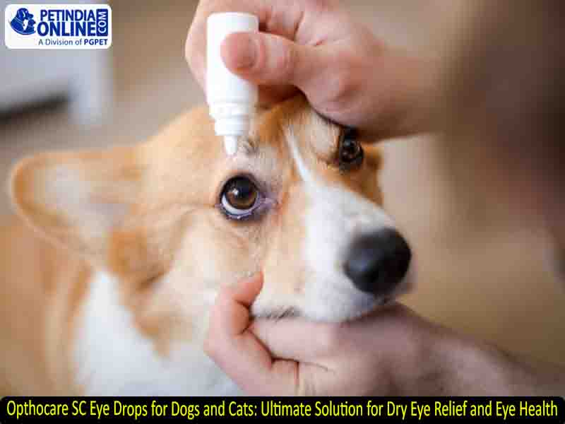 Opthocare SC Eye Drops for Dogs and Cats: Ultimate Solution for Dry Eye Relief and Eye Health