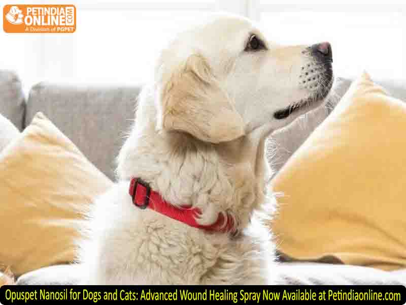 Opuspet Nanosil for Dogs and Cats: Advanced Wound Healing Spray Now Available at Petindiaonline.com