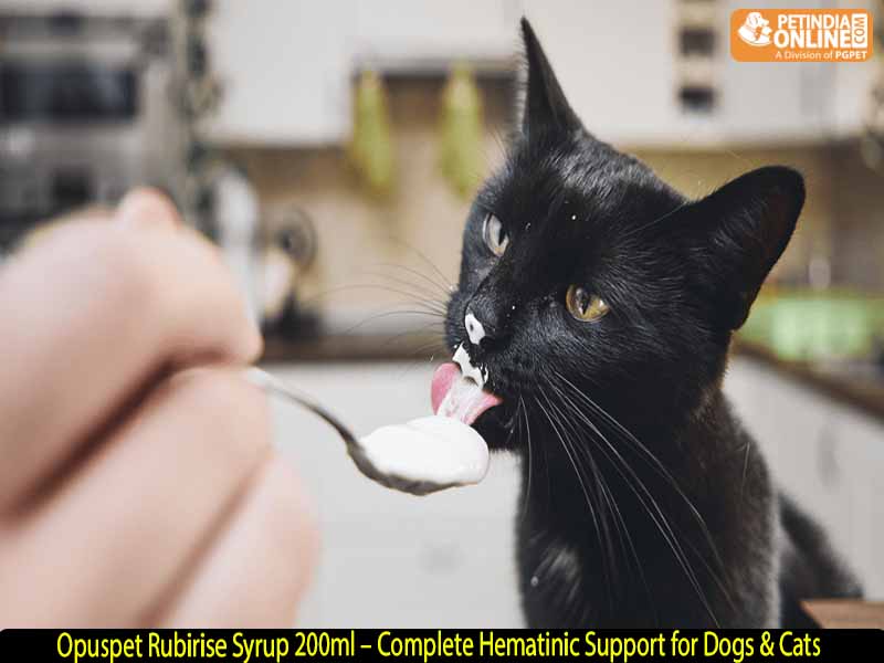Opuspet Rubirise Syrup 200ml – Complete Hematinic Support for Dogs & Cats
