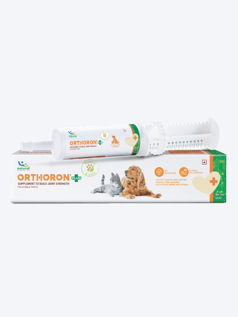 Buy Natural Remedies Orthoron Joint Supplement Paste 60ml | Petindiaonline.com