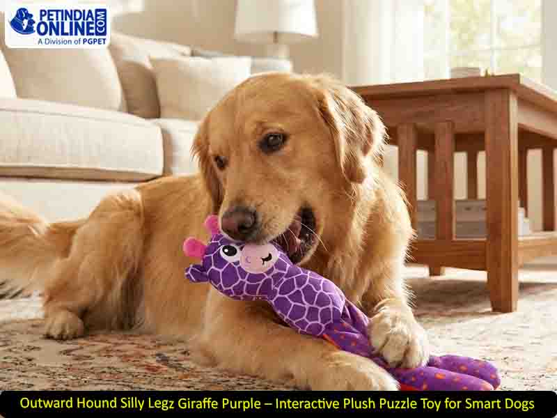 Outward Hound Silly Legz Giraffe Purple – Interactive Plush Puzzle Toy for Smart Dogs