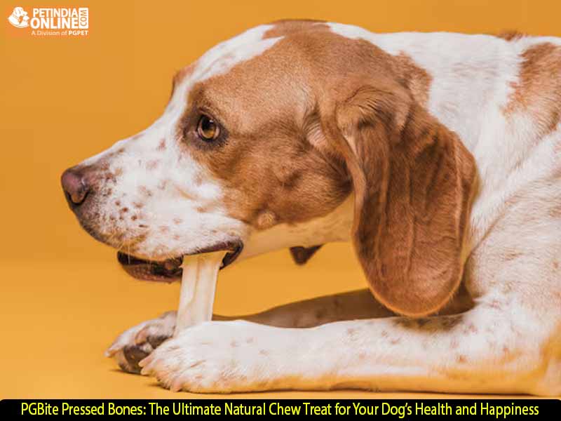 PGBite Pressed Bones: The Ultimate Natural Chew Treat for Your Dog’s Health and Happiness