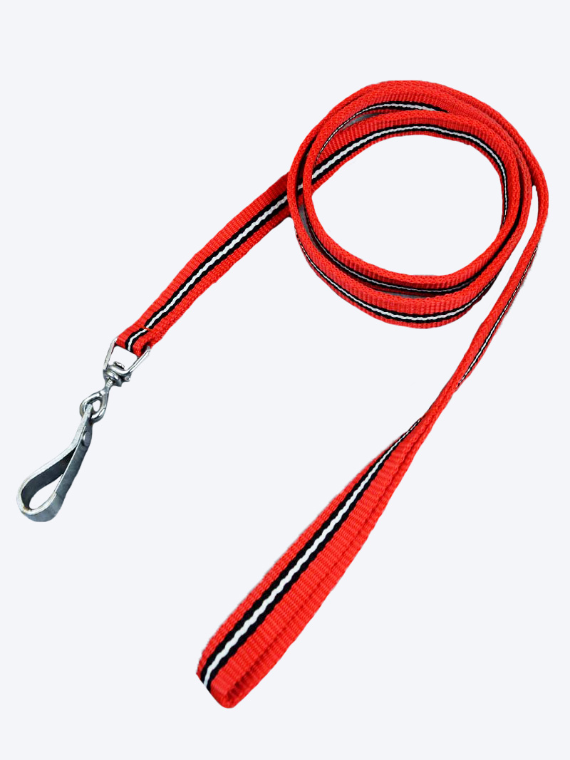 Buy PP Leash With Grip Hook at a low Price in online India on Petindiaonline