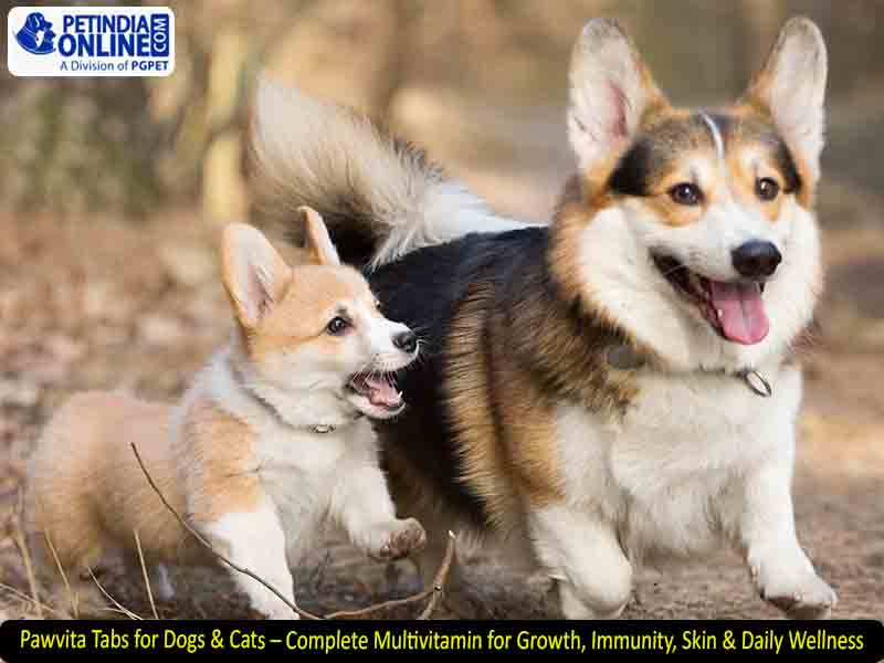 Pawvita Tabs for Dogs & Cats – Complete Multivitamin for Growth, Immunity, Skin & Daily Wellness