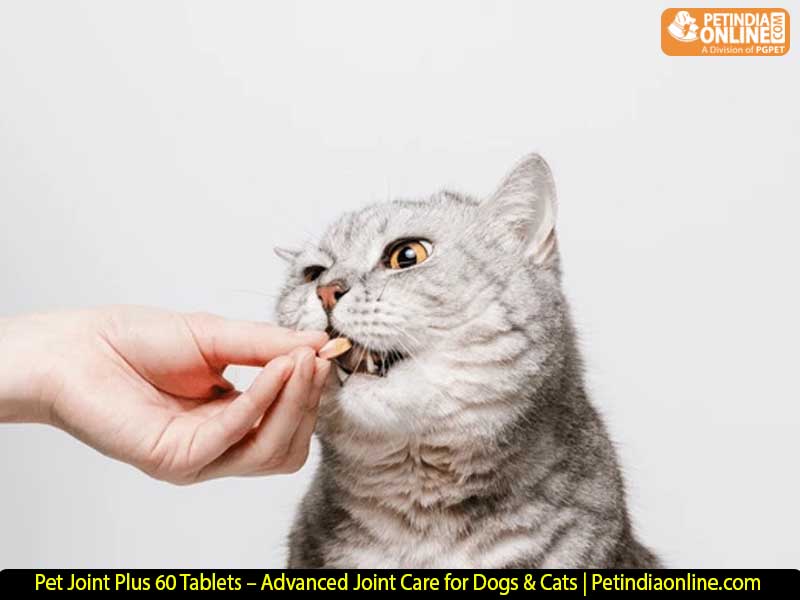 Pet Joint Plus 60 Tablets – Advanced Joint Care for Dogs & Cats | Petindiaonline.com