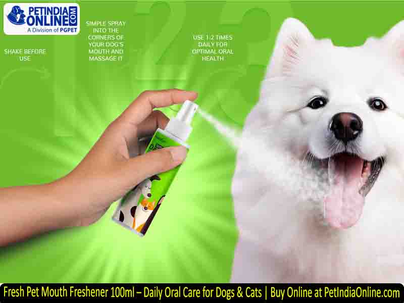 Fresh Pet Mouth Freshener 100ml – Daily Oral Care for Dogs & Cats | Buy Online at PetIndiaOnline.com
