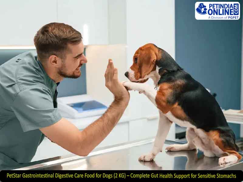 PetStar Gastrointestinal Digestive Care Food for Dogs (2 KG) – Complete Gut Health Support for Sensitive Stomachs