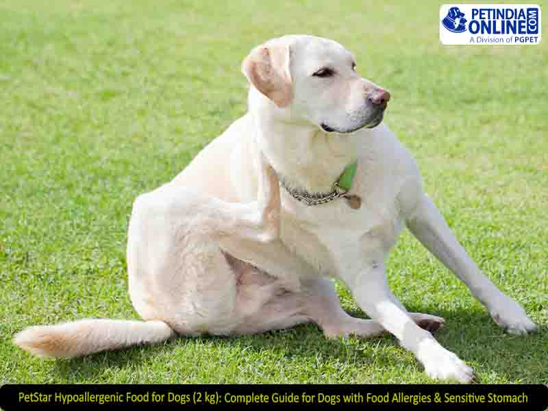 PetStar Hypoallergenic Food for Dogs (2 kg): Complete Guide for Dogs with Food Allergies & Sensitive Stomach
