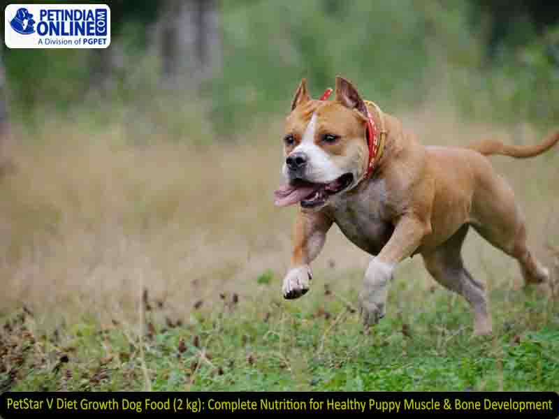 PetStar V Diet Growth Dog Food (2 kg): Complete Nutrition for Healthy Puppy Muscle & Bone Development