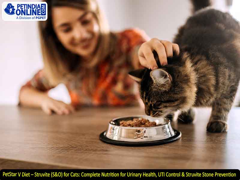 PetStar V Diet – Struvite (S&O) for Cats: Complete Nutrition for Urinary Health, UTI Control & Struvite Stone Prevention