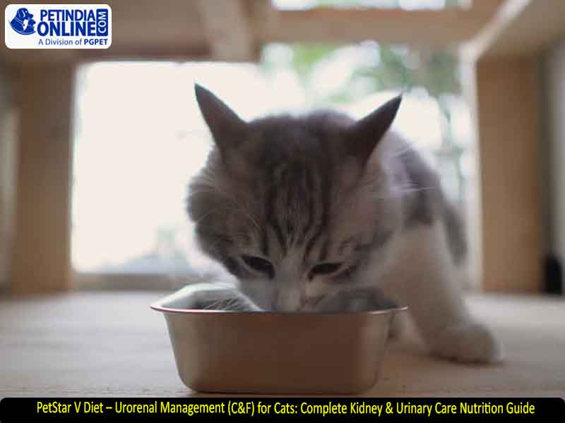 PetStar V Diet – Urorenal Management (C&F) for Cats: Complete Kidney & Urinary Care Nutrition Guide