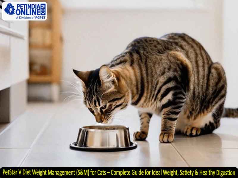 PetStar V Diet Weight Management (S&M) for Cats – Complete Guide for Ideal Weight, Satiety & Healthy Digestion