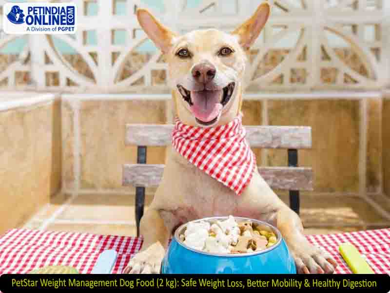 PetStar Weight Management Dog Food (2 kg): Safe Weight Loss, Better Mobility & Healthy Digestion