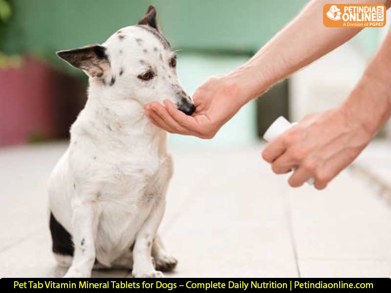 Pet Tab Vitamin Mineral Tablets for Dogs – Complete Daily Nutrition | Petindiaonline.com