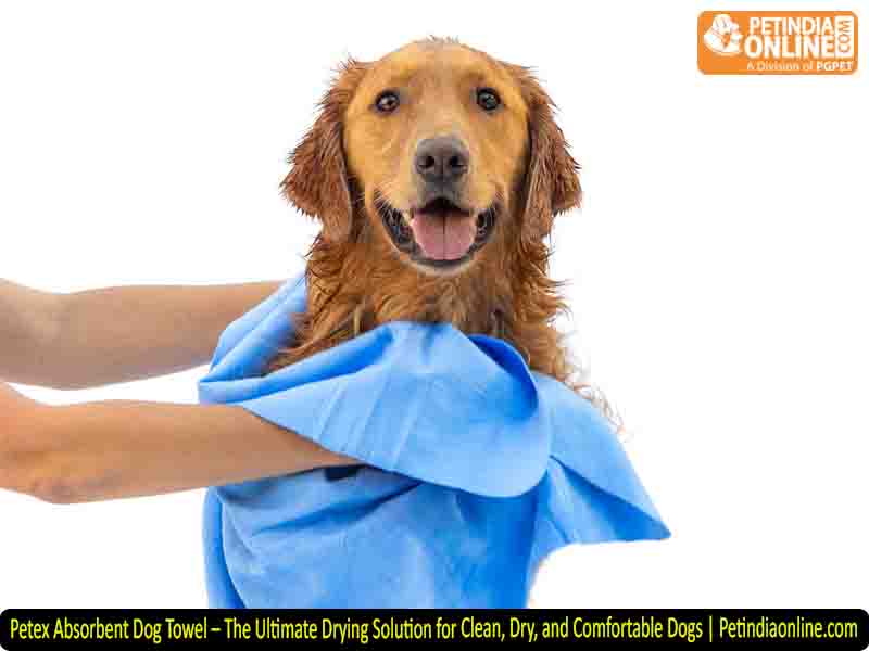 Petex Absorbent Dog Towel – The Ultimate Drying Solution for Clean, Dry, and Comfortable Dogs | Petindiaonline.com