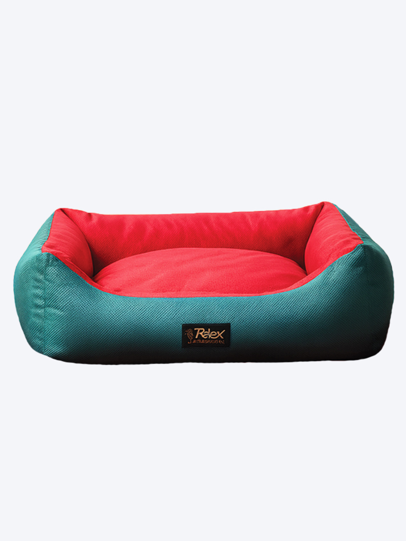 Bloomscape Lounger Bed for Dog | Soft & Comfortable Pet Bed Online India
