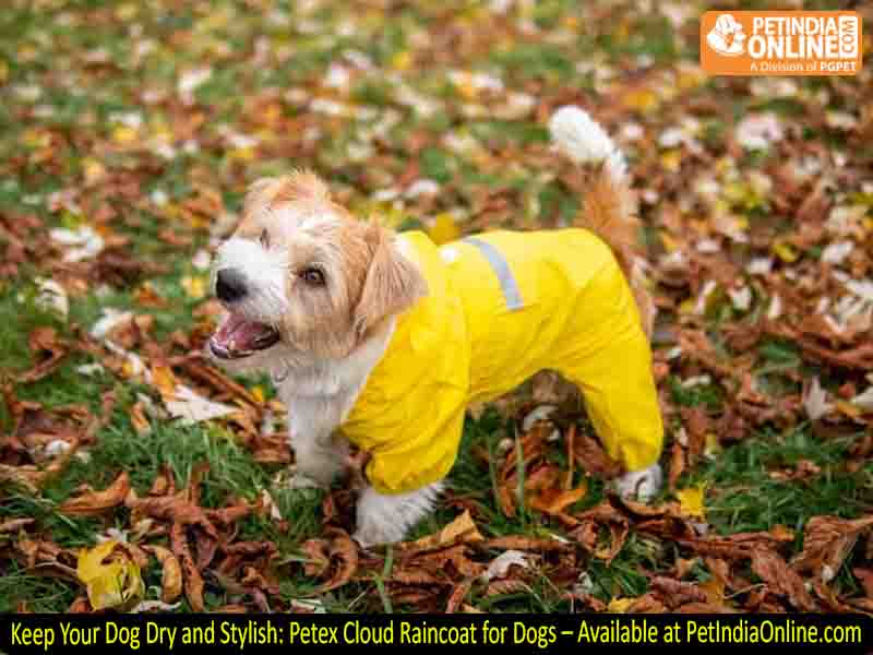 Keep Your Dog Dry and Stylish: Petex Cloud Raincoat for Dogs – Available at PetIndiaOnline.com