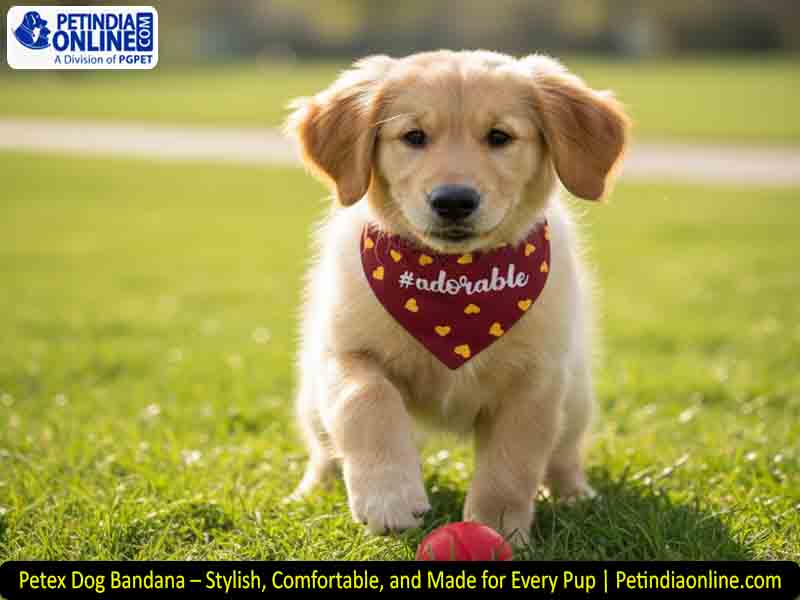 Petex Dog Bandana – Stylish, Comfortable, and Made for Every Pup | Petindiaonline.com