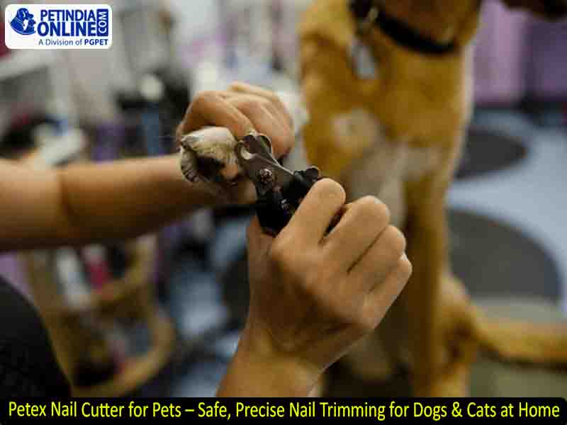 Petex Nail Cutter for Pets – Safe, Precise Nail Trimming for Dogs & Cats at Home