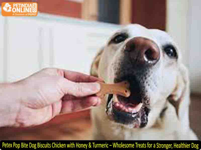 Petex Pop Bite Dog Biscuits Chicken with Honey & Turmeric – Wholesome Treats for a Stronger, Healthier Dog