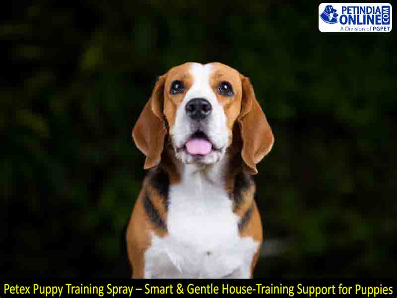 Petex Puppy Training Spray – Smart & Gentle House-Training Support for Puppies