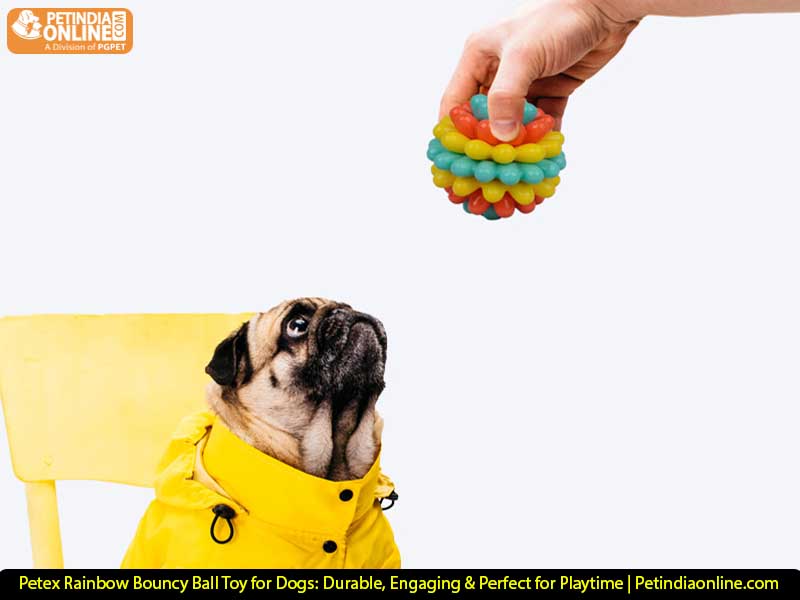 Petex Rainbow Bouncy Ball Toy for Dogs: Durable, Engaging & Perfect for Playtime | Petindiaonline.com