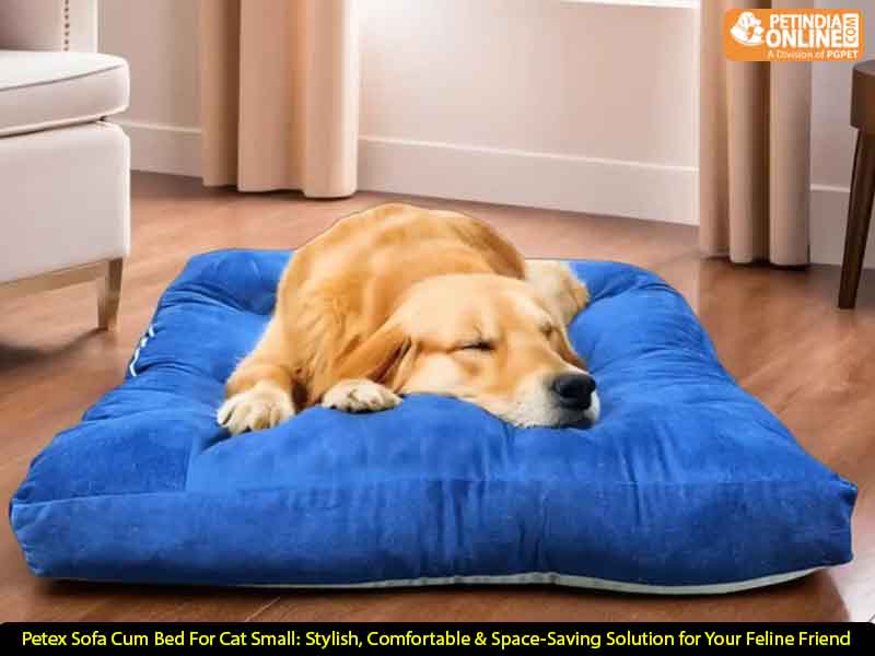 Petex Sofa Cum Bed For Cat Small: Stylish, Comfortable & Space-Saving Solution for Your Feline Friend