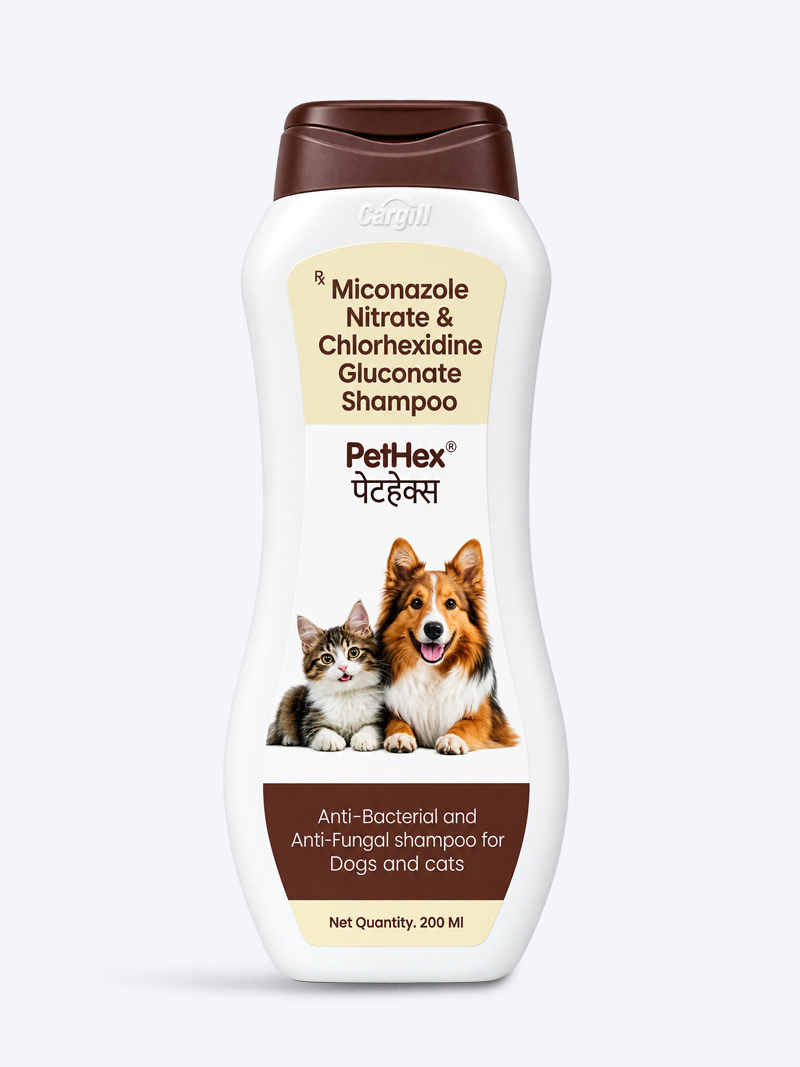 Pet Care Pethex Dog Shampoo 200ml – Antibacterial Cleanser for Skin Protection