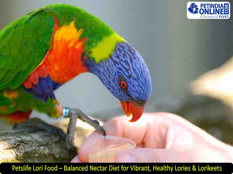 Petslife Lori Food – Balanced Nectar Diet for Vibrant, Healthy Lories & Lorikeets