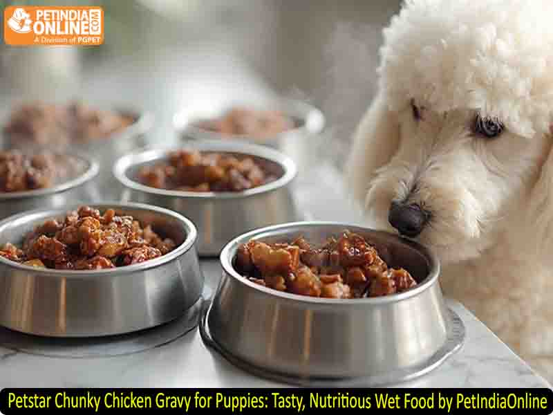 Petstar Chunky Chicken Gravy for Puppies: Tasty, Nutritious Wet Food by PetIndiaOnline