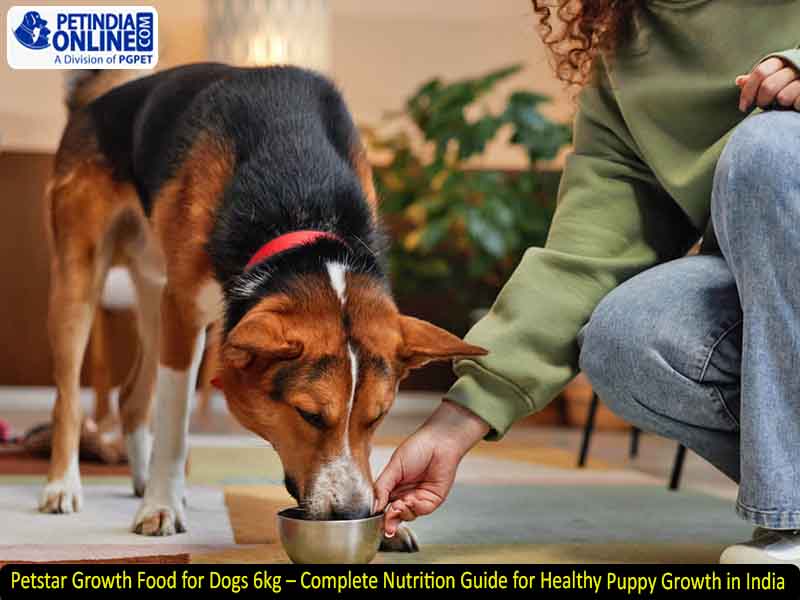 Petstar Growth Food for Dogs 6kg – Complete Nutrition Guide for Healthy Puppy Growth in India