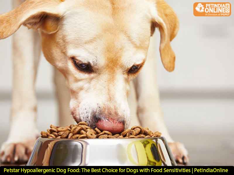 Petstar Hypoallergenic Dog Food: The Best Choice for Dogs with Food Sensitivities | PetIndiaOnline