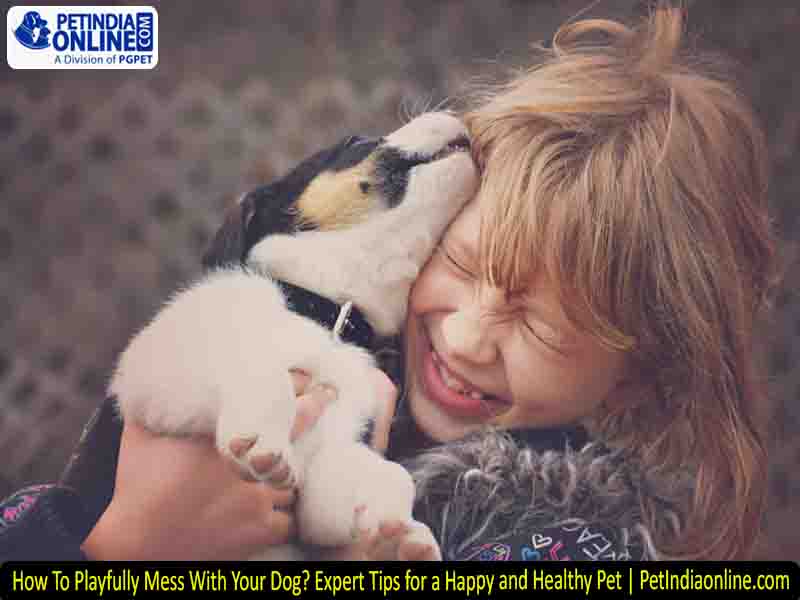How To Playfully Mess With Your Dog? Expert Tips for a Happy and Healthy Pet | PetIndiaonline.com