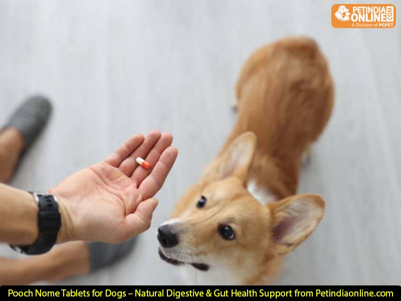 Pooch Nome Tablets for Dogs – Natural Digestive & Gut Health Support from Petindiaonline.com