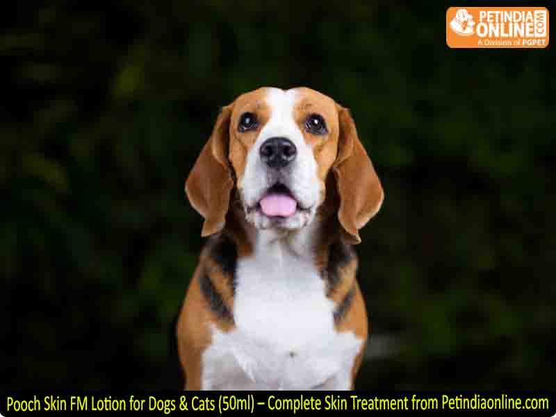 Pooch Skin FM Lotion for Dogs & Cats (50ml) – Complete Skin Treatment from Petindiaonline.com