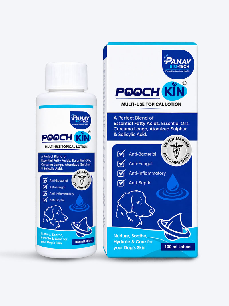 Poochkin Lotion 100ml – Antibacterial & Antifungal Skin Lotion for Dogs and Cats